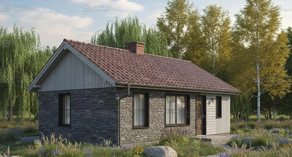 Проект Одноэтажный дом 10 на 7, 46 м2